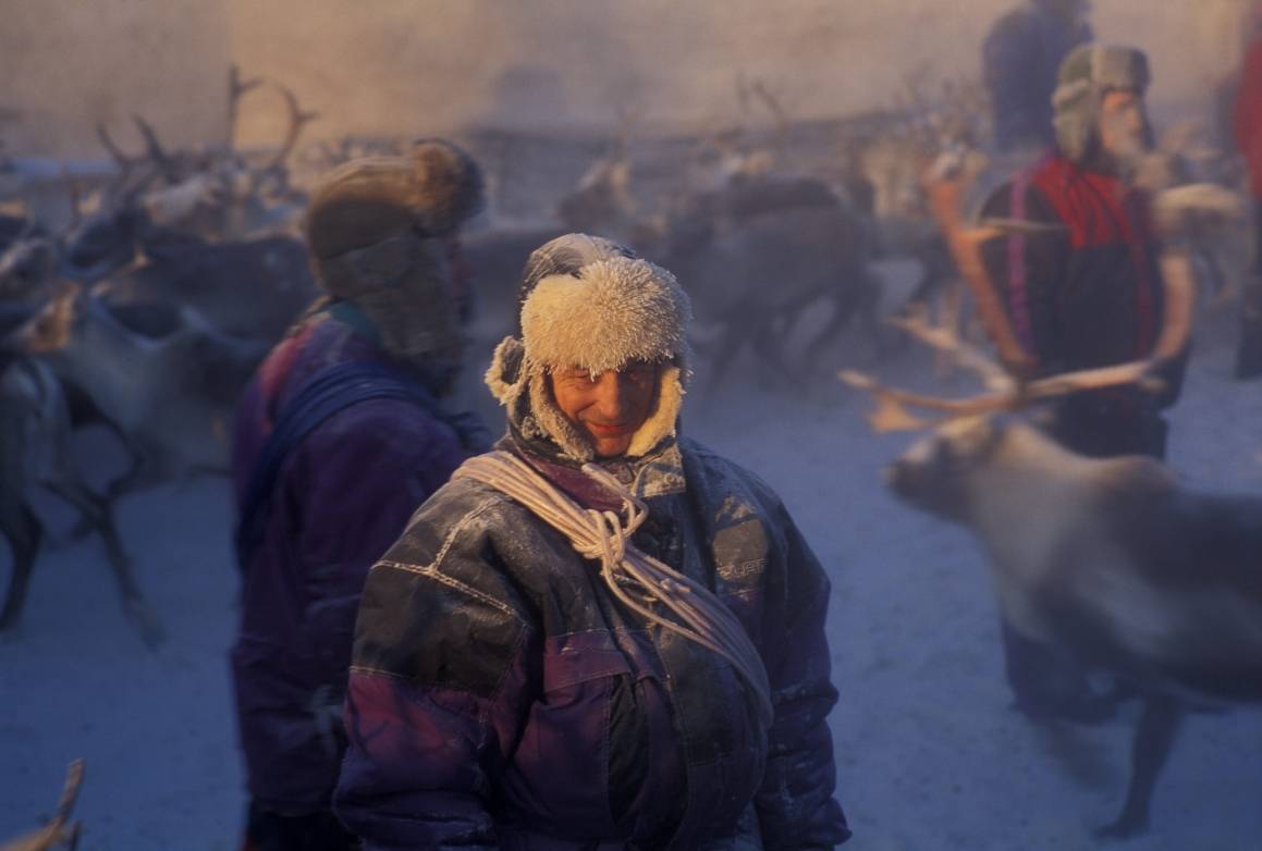 Tre samiske menn samler reinsdyr i Finnnmark.  Foto: Trym Ivar Bergsmo/Samfoto/Scanpix